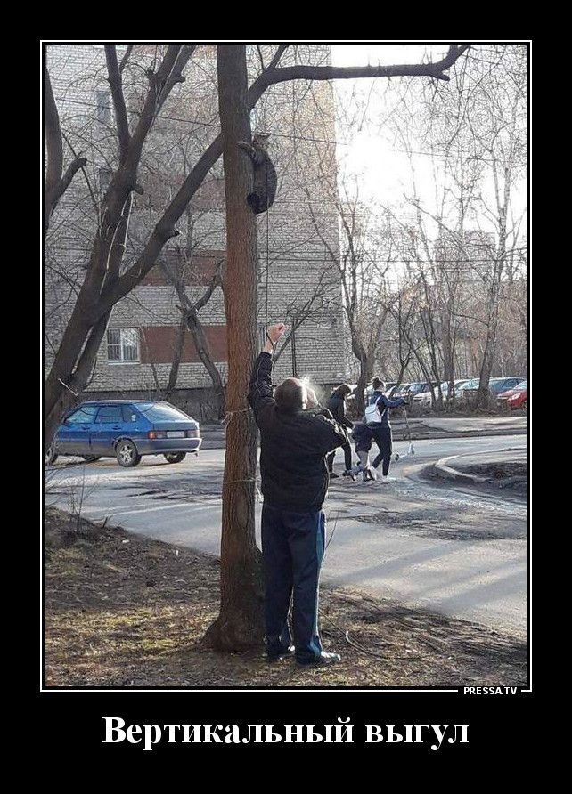 Вертикальный выгул