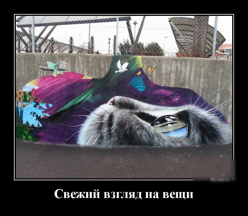 Свежий взгляд на вещи