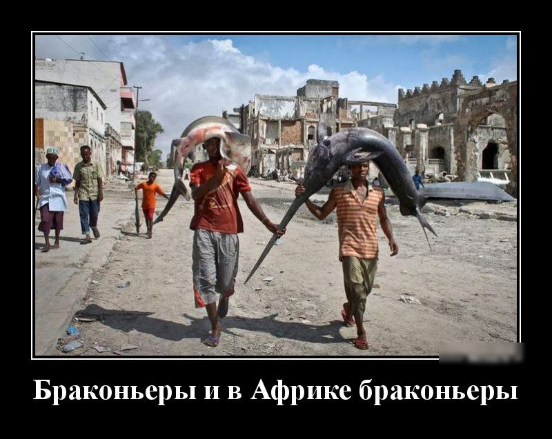 Браконьеры и в Африке браконьеры