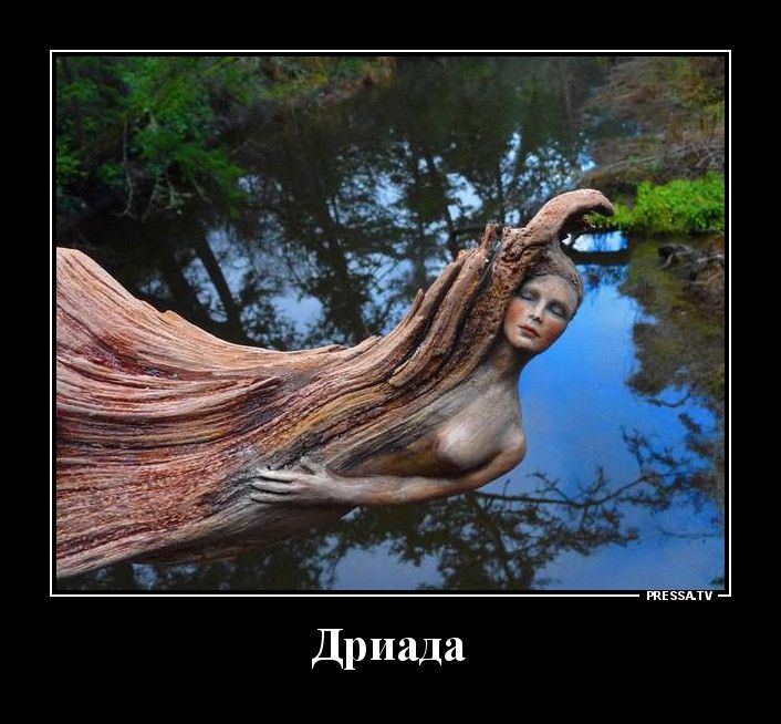 тззми