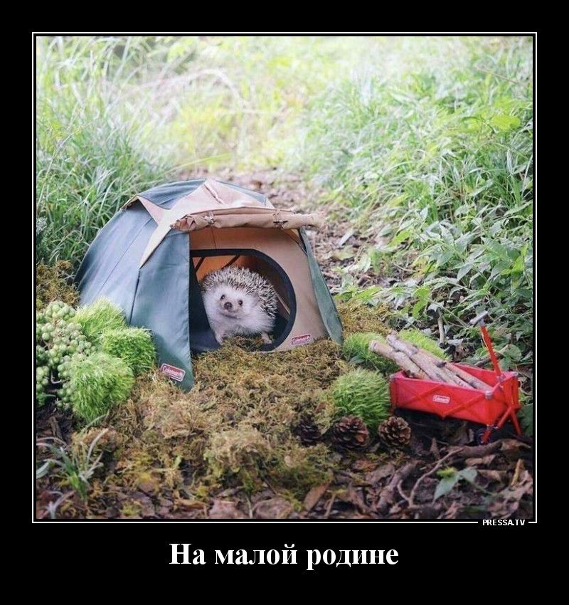 тззпч На малой родине