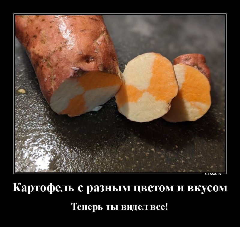 твц Картофель с разным цветом и вкусом Теперь ТЫ видел все