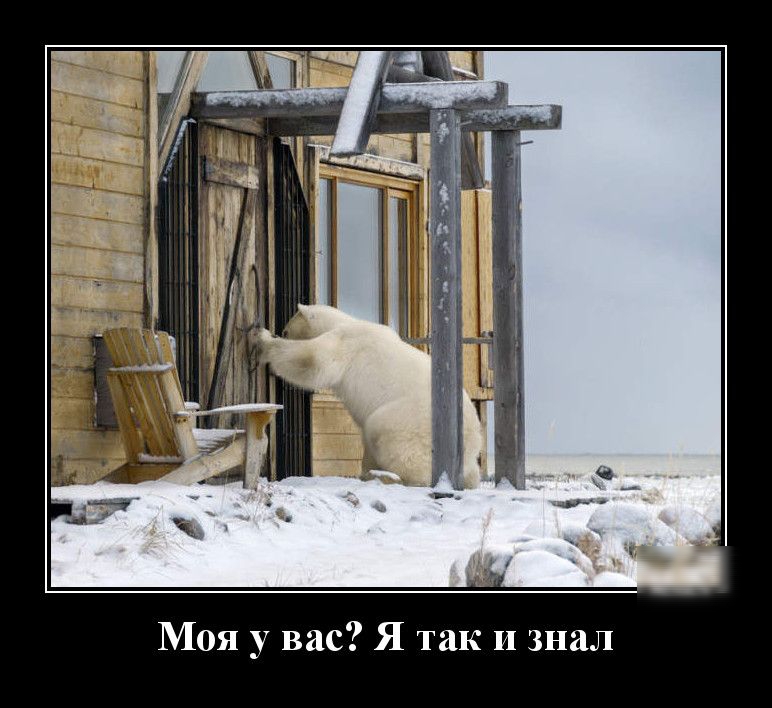 Моя у вас Я так и знал