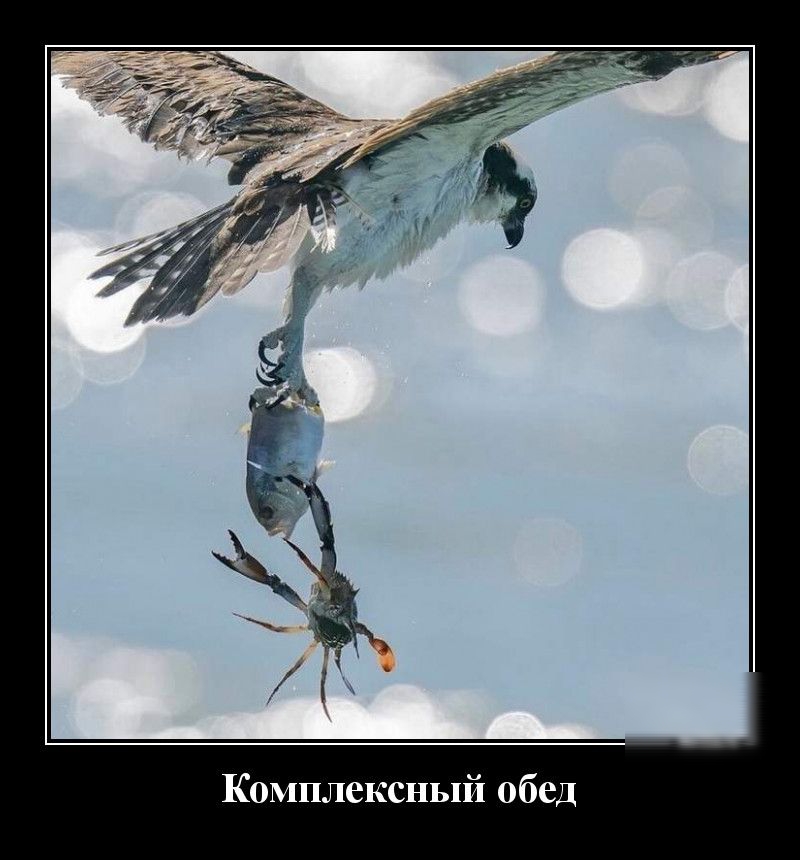 Комплексный обед