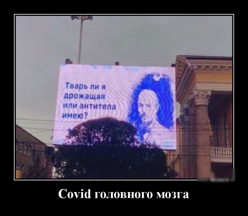 пш пн дамы антитела шипа Соуіа головного мозга