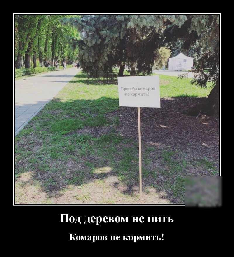 Под деревом не пить Комаров не кормить