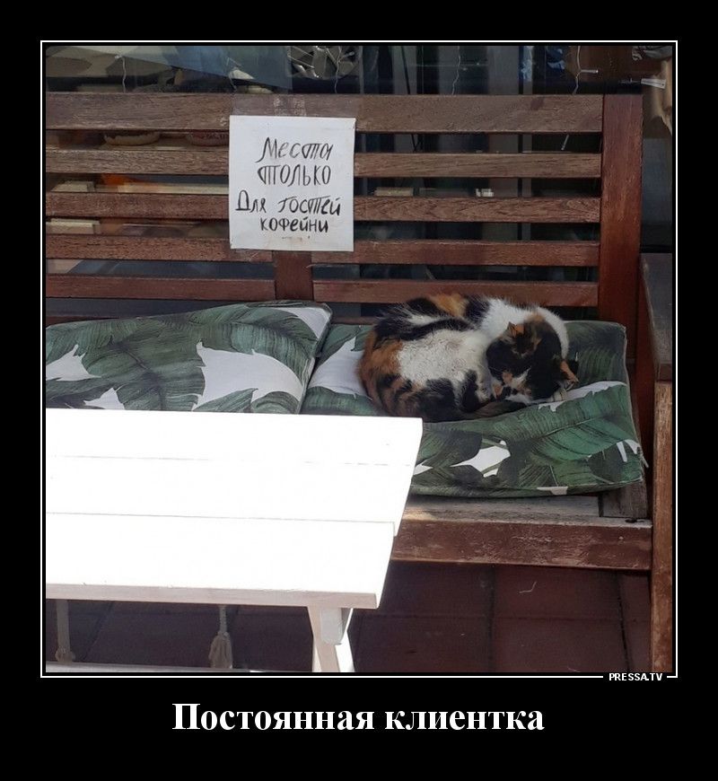 Лкмт _ ШОП Для Гошги кофейни тіээпч Постоянная клиентка