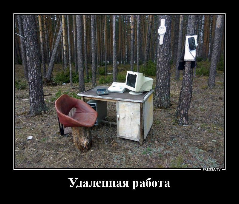 тіэмтч Удаленная работа