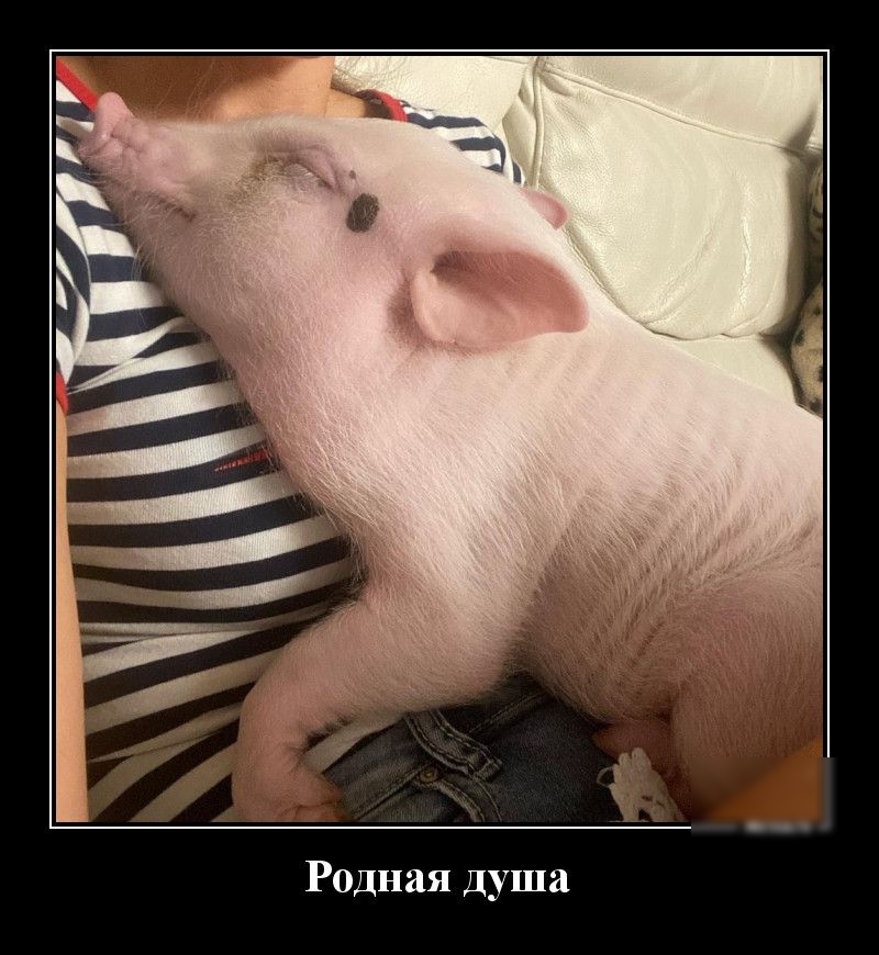 Родная душа