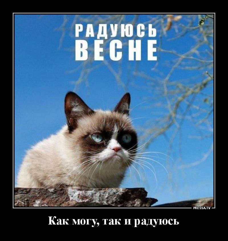 тззмч Как могу так и радуюсь