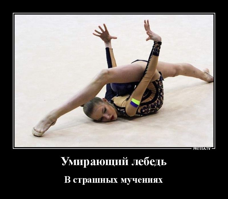 тЕээАтч Умирающий лебедь В страшных МУЧСНПЯХ