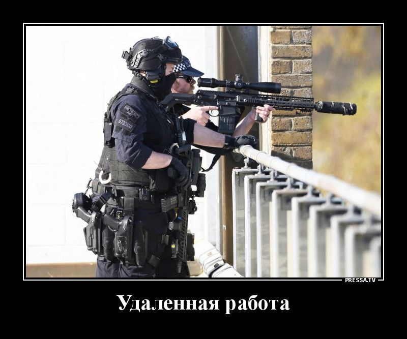 тззпч Удаленная работа
