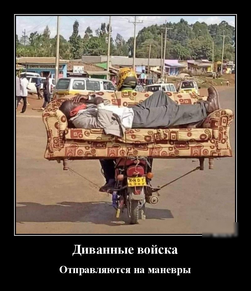 Диванные войска Отправляются на маневры