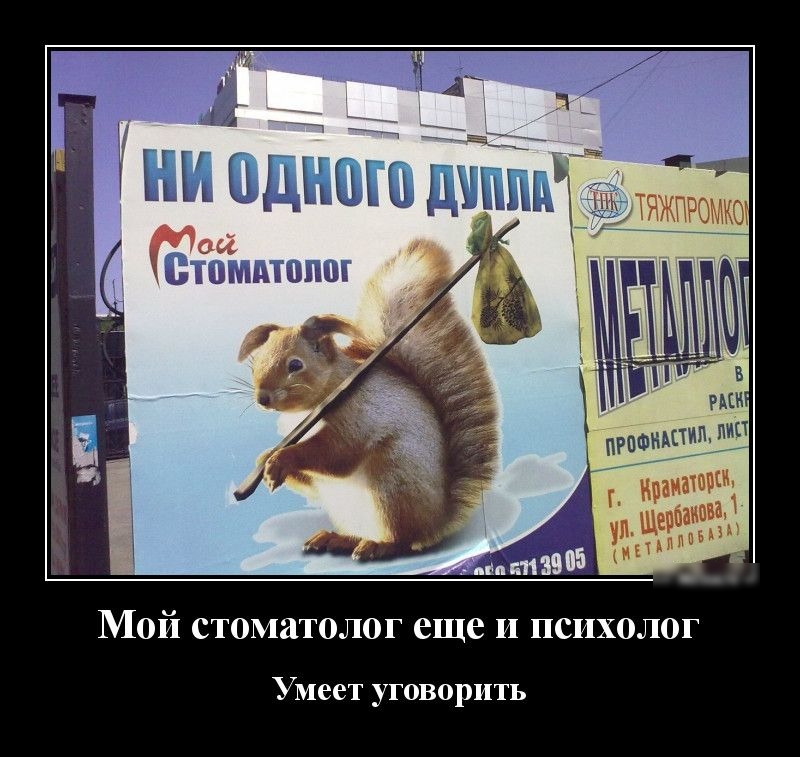 Мой стоматолог еще и психолог Умеет уговорить