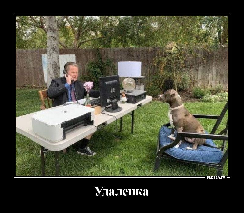 А юны Удаленка