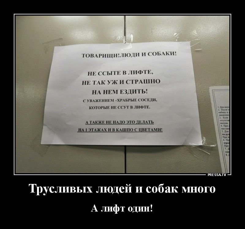 шп п111ш п Нцьи ы _ иш г пчшпо П Ъ ним хим мп ып конт или мкм пнпю ип нд тхжАх пкмншні мы и тззми Трусливых людей и собак мно А лифт один