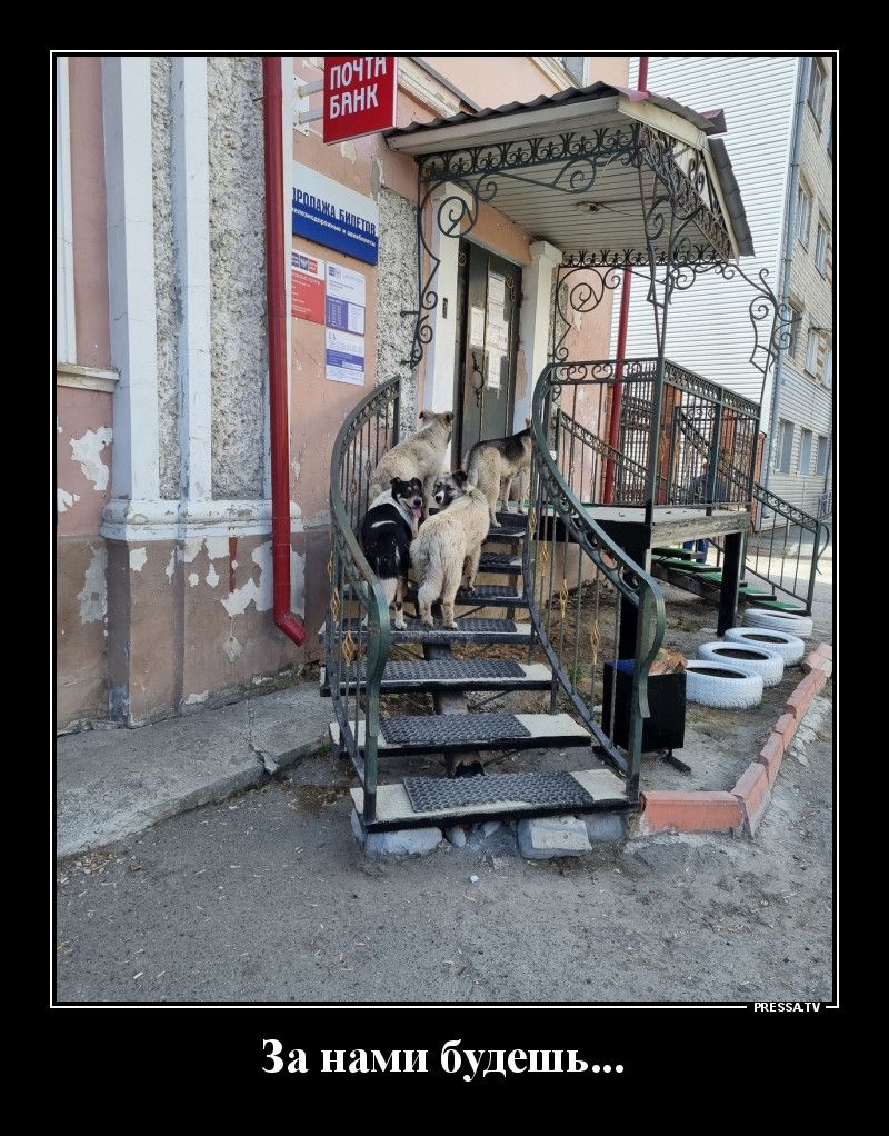 тззми За нами будешь