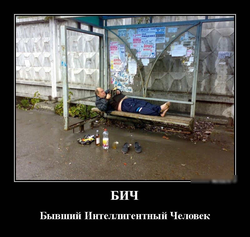 БИЧ Бывший Интеллигентный Человек