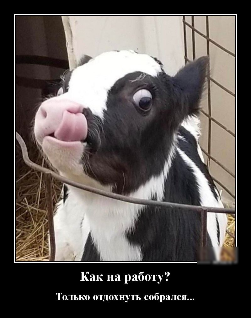Как на работу Только отдохнуть собрался
