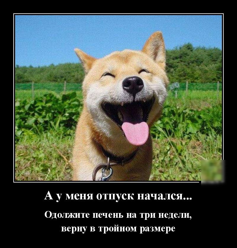 А у меня отпуск начался Одолжите печень на три недели верну в тройном размере