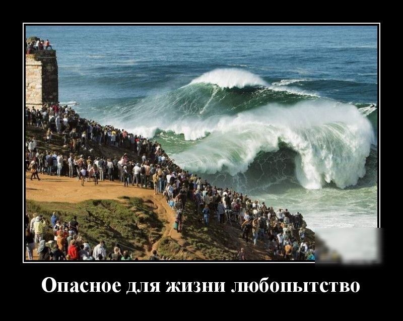 Опасное для жизни любопытство