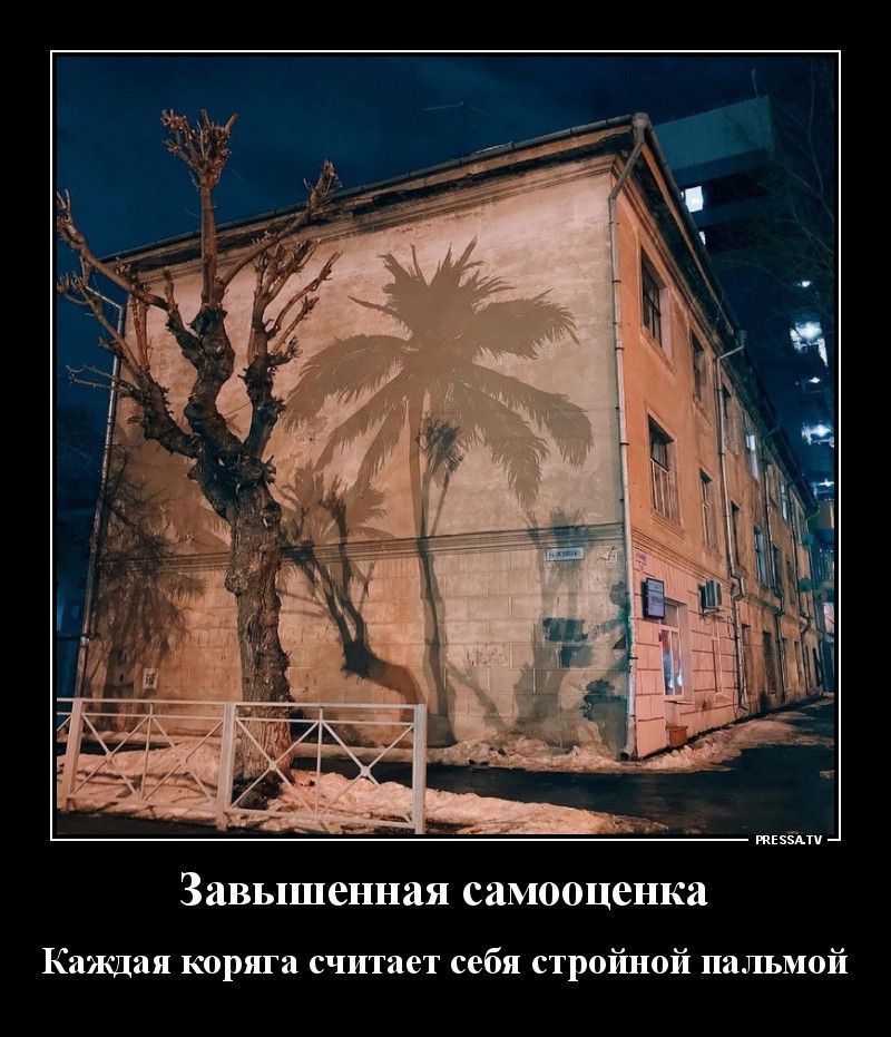 тізёхти Завышенная самооценка Каждая коряга считает себя стройной пальмой