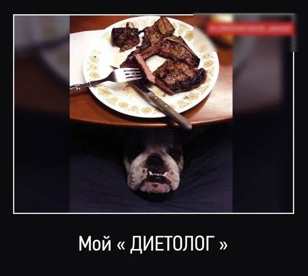 Мой ДИЕТОЛОГ