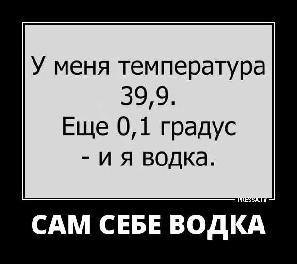 У меня температура 399 Еще 01 градус и я водка САМ СЕБЕ ВОДКА