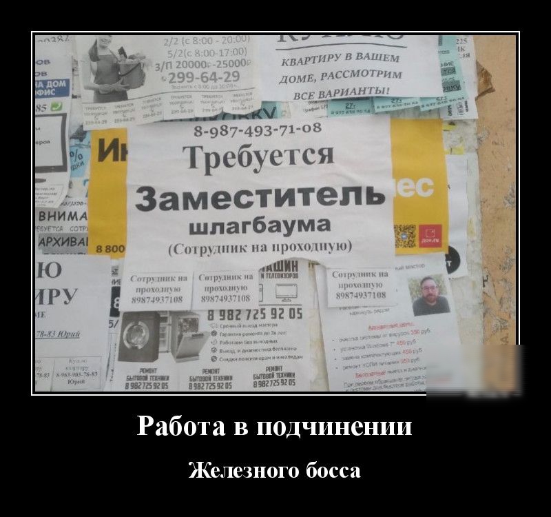 Трибуц Я Заместитель шлагбаума нвоо ыццп_удиАП ВН И М 1 АРХИВА п Работа в подчинении Железного босса