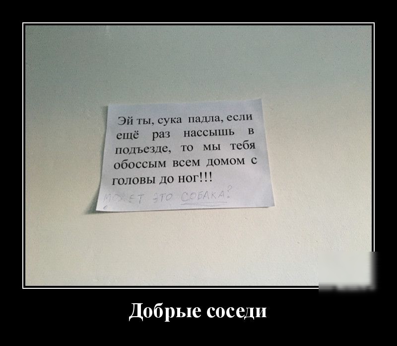 іі лысую наш сш ешё реп пассышь ПОЪСЁЦС ТО МЫ 1С6Я обоссым всем домом с головы до пог Добрые сосед