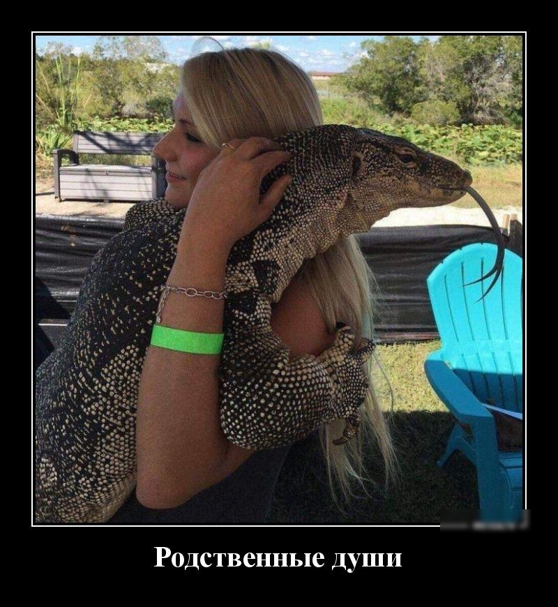 Родственные Души