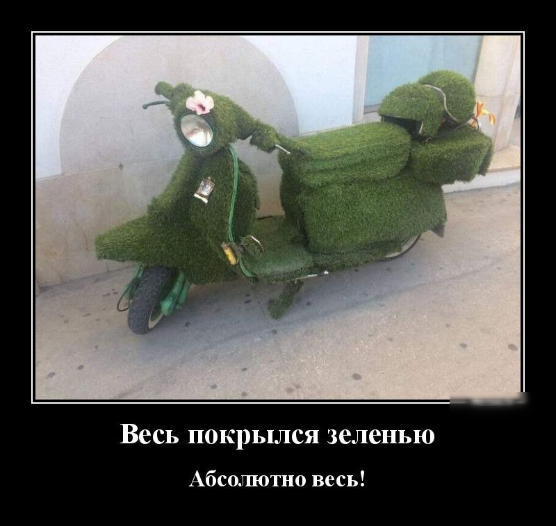 Весь покрылся зеленью Абсолютно весь