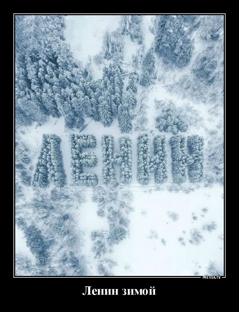 тззмч Ленин зимой