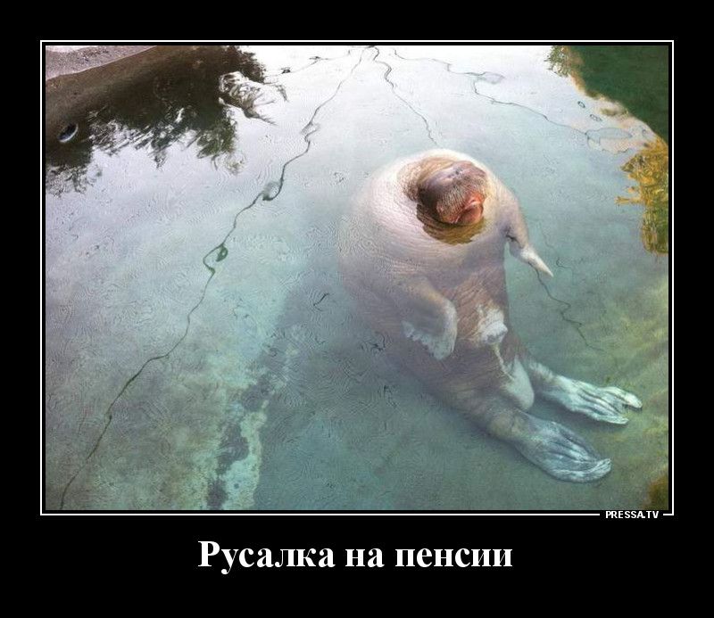 Русалка на пенсии