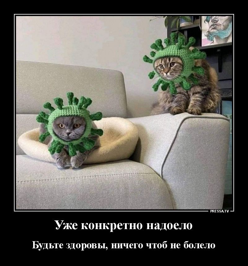 тззмп Уже конкретно надоело Будьте ЗДОрОВЬ НЦЧСГО ЧТОб не болело