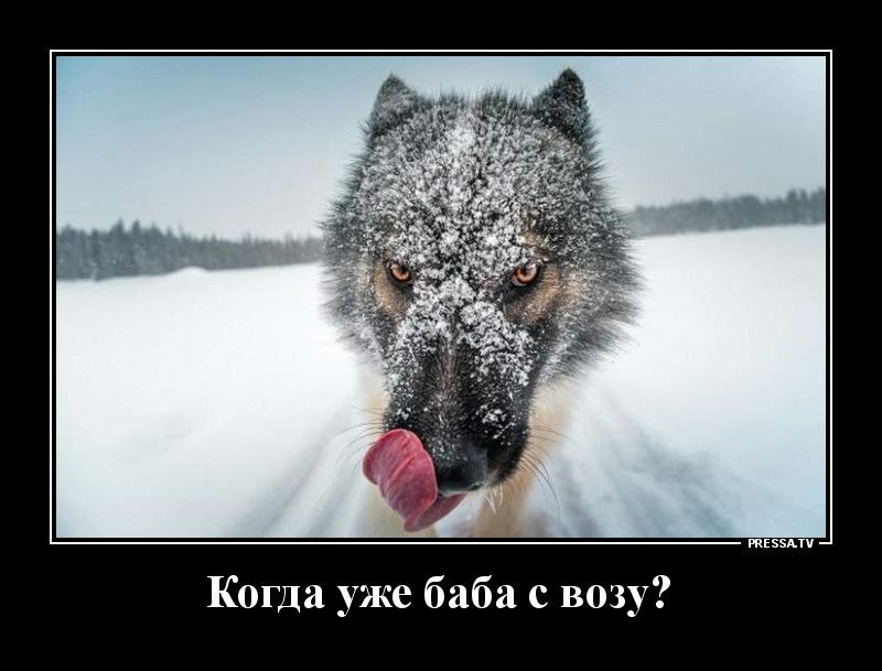 тззмч