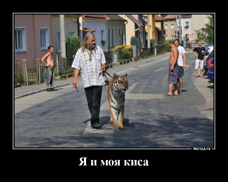 Я и моя киса