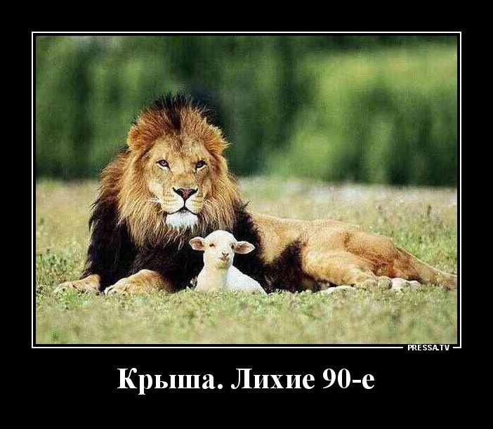 тззми Крыша Лихие 90 е