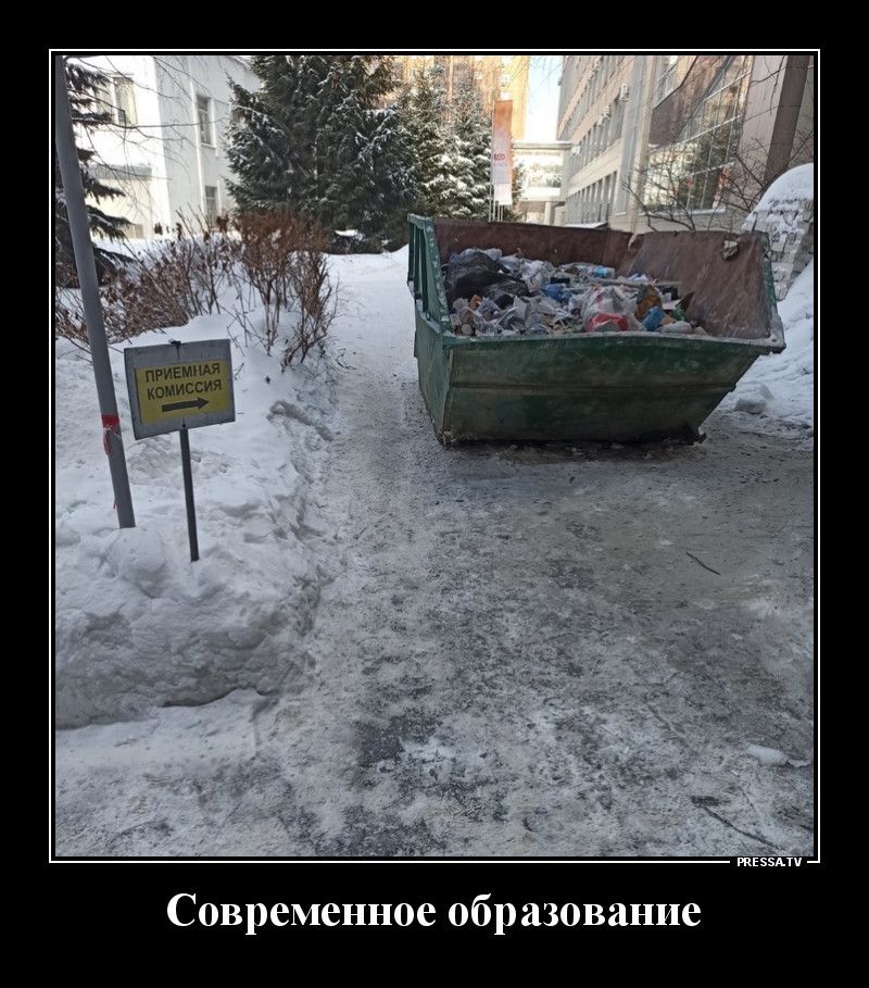 Современное образование