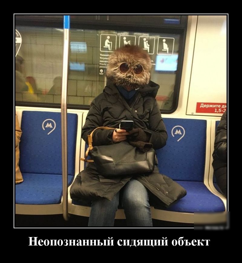 Неопознанный сидящий объект