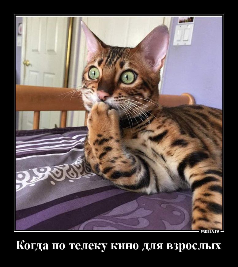 Когда ПО телеку КИНО ДЛЯ взрослых