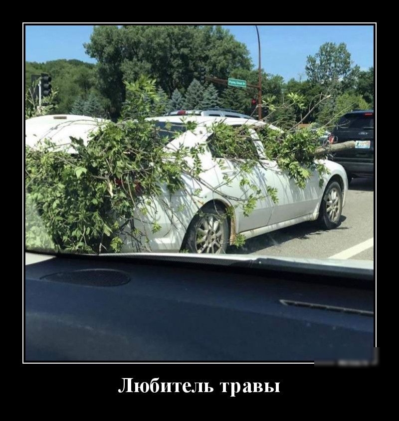 Любитель травы