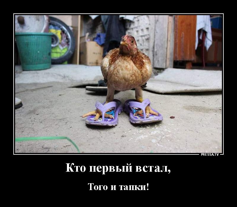 тззми Кто первый встал Того и танки