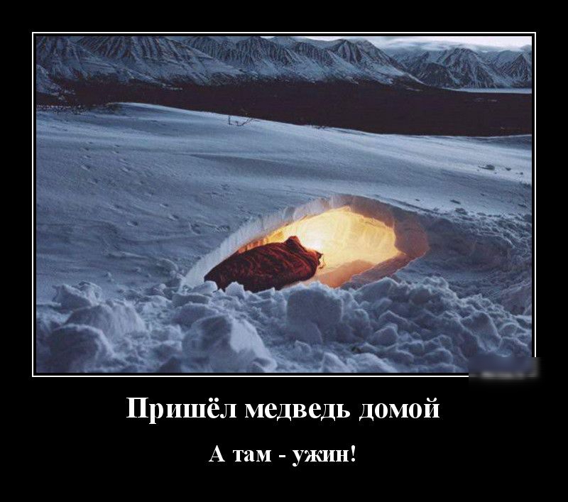 Пришёл медведь домой А там ужин