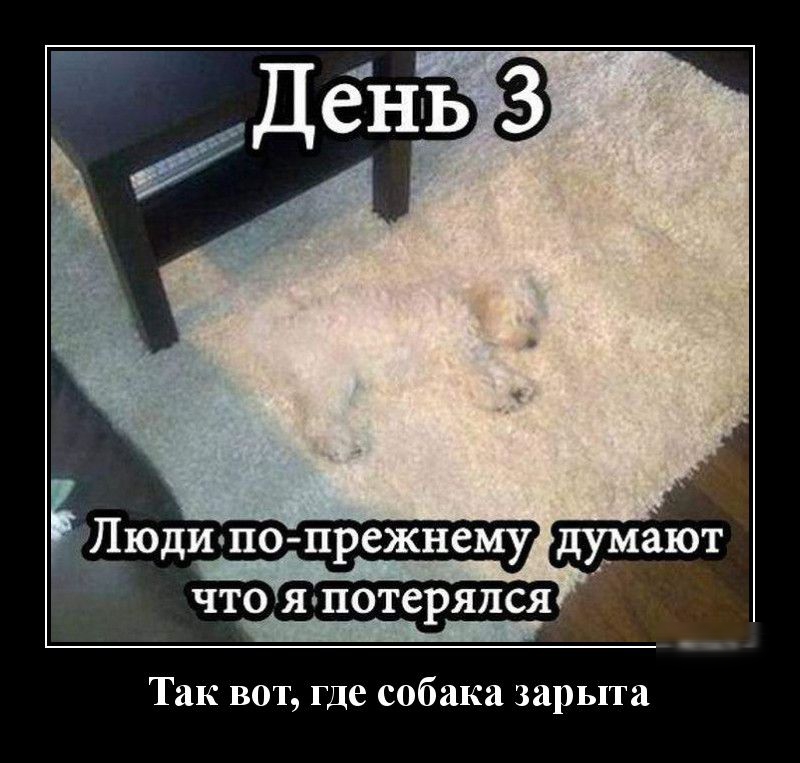 Пюдипо прежнему думают что япотерялся _ Так вот где собака зарыта