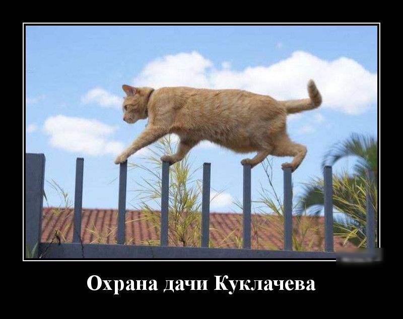 Охрана дачи Куклачева