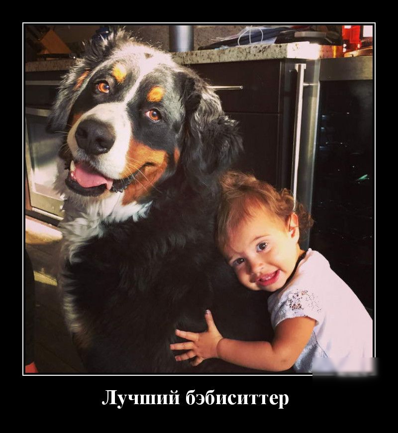 Лучший бэбиситтер