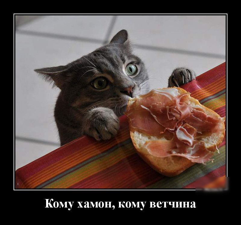 Кому хамон кому ветчина