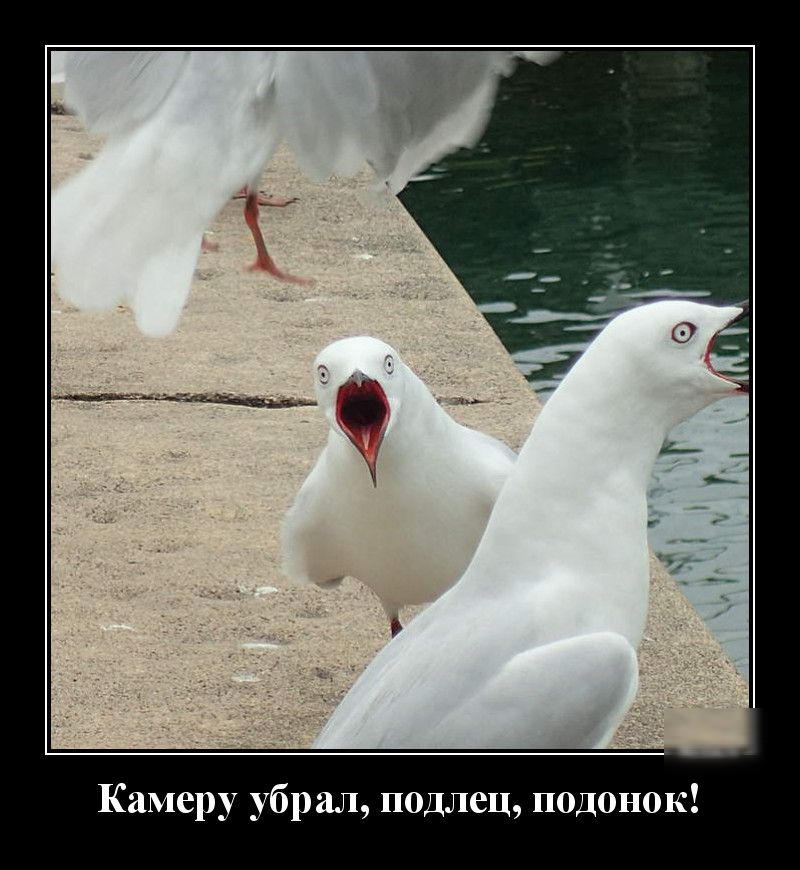 Камеру убрал подлец подонок