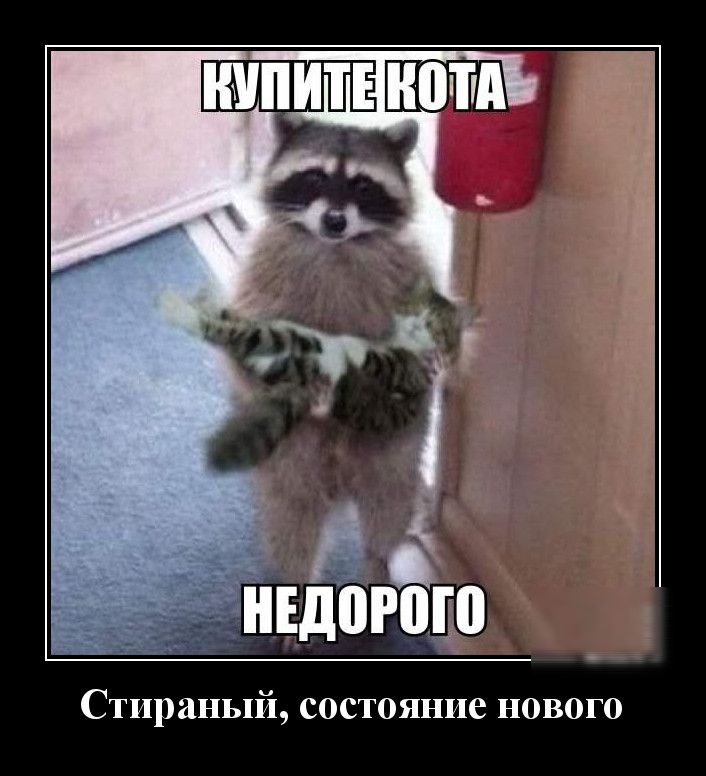 чныідогйп Стираный состояние нового